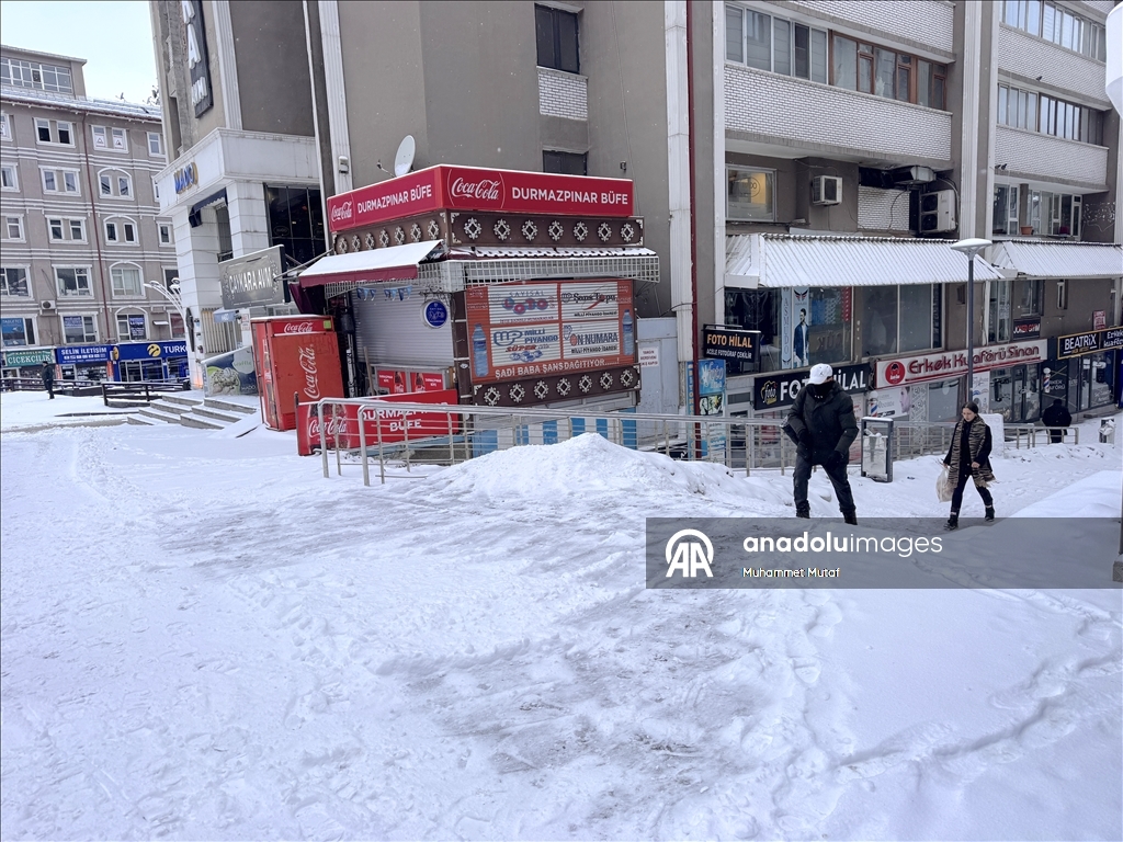 Erzurum'da kar yağışı etkili oldu