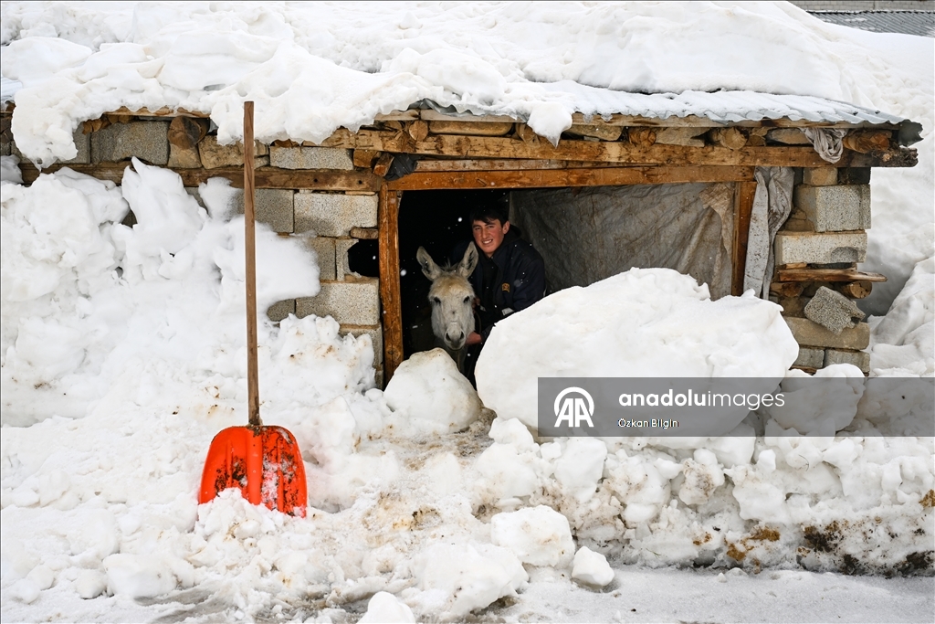 Van'da kar yağışı etkili oldu