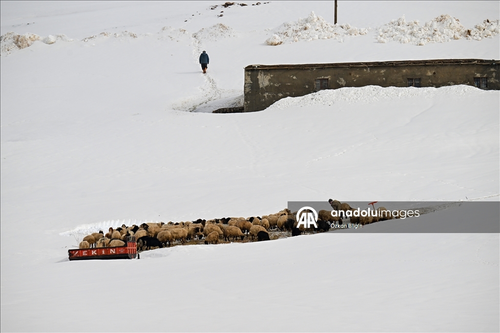 Van'da kar yağışı etkili oldu