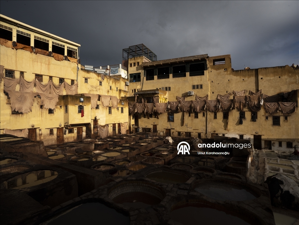 В марокканском Фесе продолжается традиционное кожевенное производство