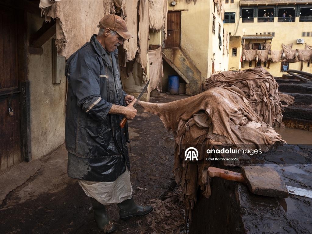 Fas’ın Fez kentinde geleneksel deri üretimi sürüyor