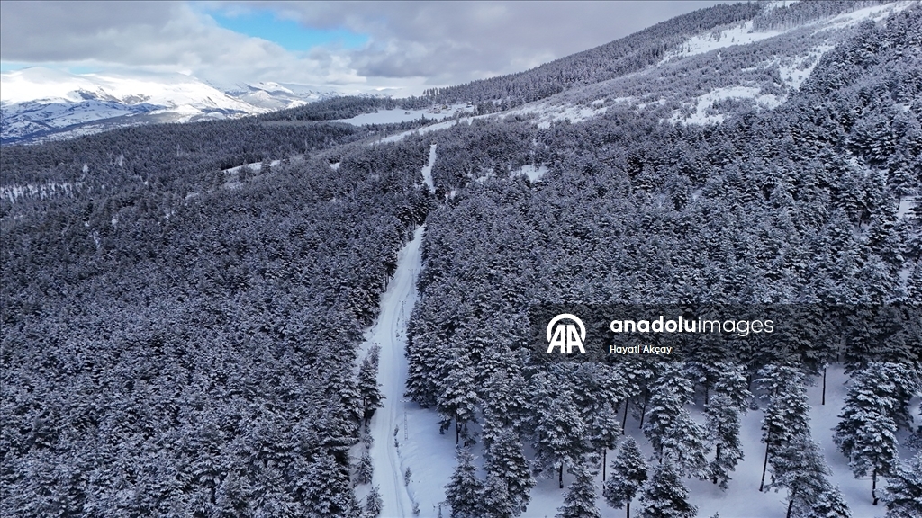 Keyfalan Yaylası karla kaplandı