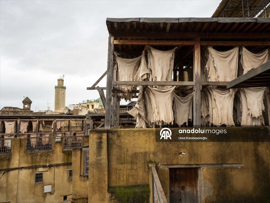 Fas’ın Fez kentinde geleneksel deri üretimi sürüyor