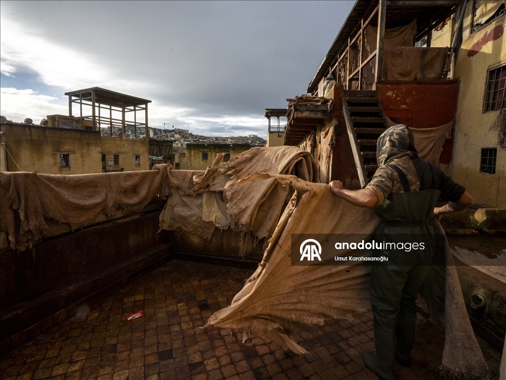 В марокканском Фесе продолжается традиционное кожевенное производство