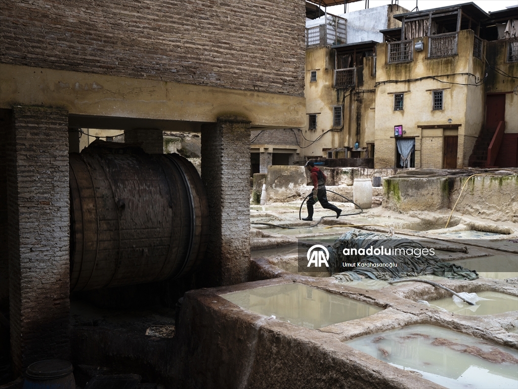 Fas’ın Fez kentinde geleneksel deri üretimi sürüyor