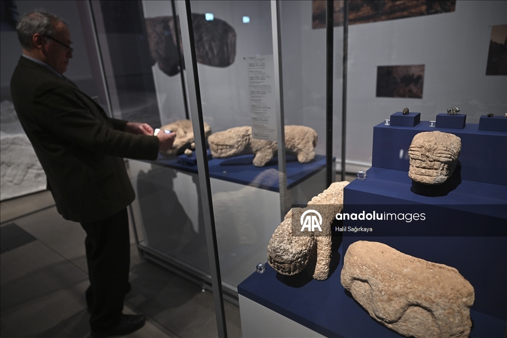 В Берлине открылась выставка, посвященная храмовому комплексу Гёбеклитепе