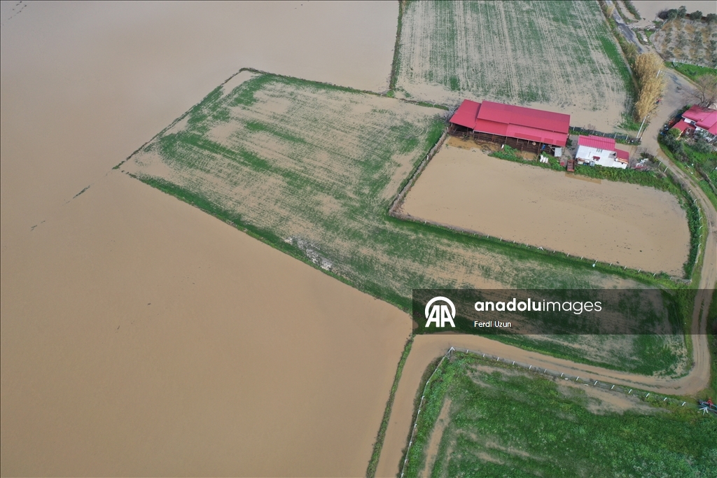 Aydın'da Büyük Menderes Nehri taştı, ekili alanlar su altına kaldı