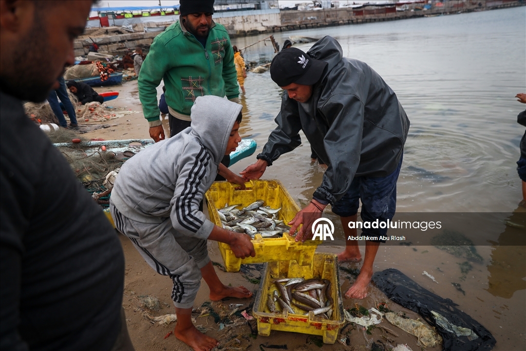 Gazze'deki Filistinli balıkçılar tehlikeli olmasına rağmen mesleklerine devam ediyor