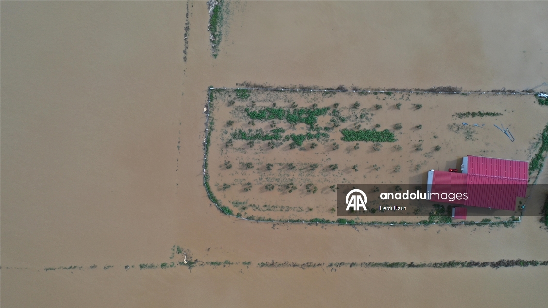Aydın'da Büyük Menderes Nehri taştı, ekili alanlar su altına kaldı