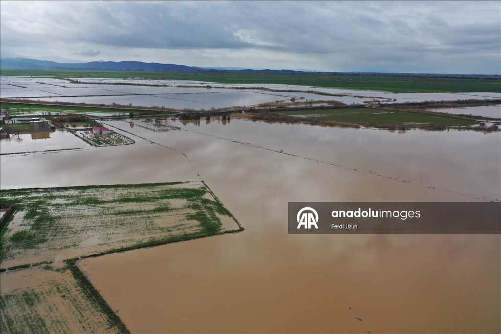 Aydın'da Büyük Menderes Nehri taştı, ekili alanlar su altına kaldı