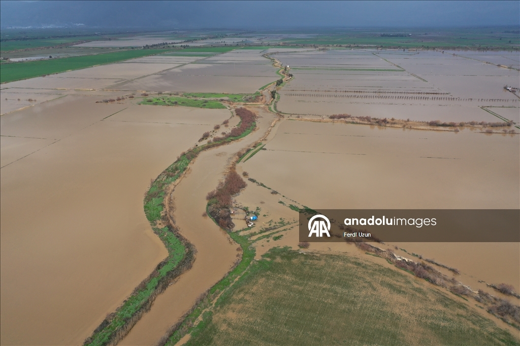 Aydın'da Büyük Menderes Nehri taştı, ekili alanlar su altına kaldı