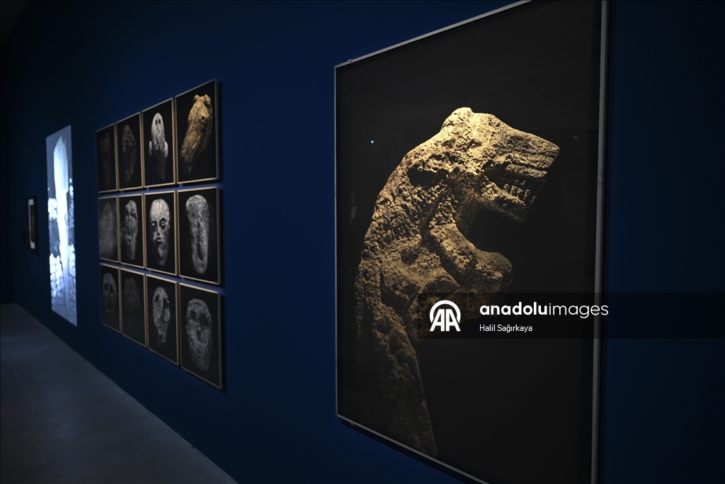 В Берлине открылась выставка, посвященная храмовому комплексу Гёбеклитепе