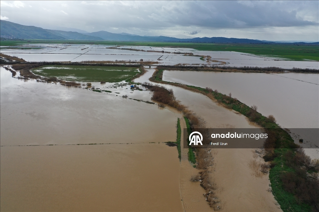 Aydın'da Büyük Menderes Nehri taştı, ekili alanlar su altına kaldı
