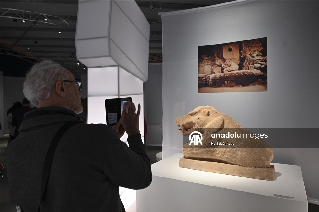 В Берлине открылась выставка, посвященная храмовому комплексу Гёбеклитепе