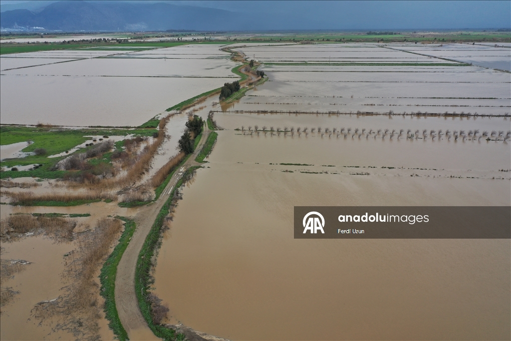 Aydın'da Büyük Menderes Nehri taştı, ekili alanlar su altına kaldı