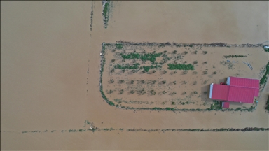  Aydın'da Büyük Menderes Nehri taştı, ekili alanlar su altına kaldı