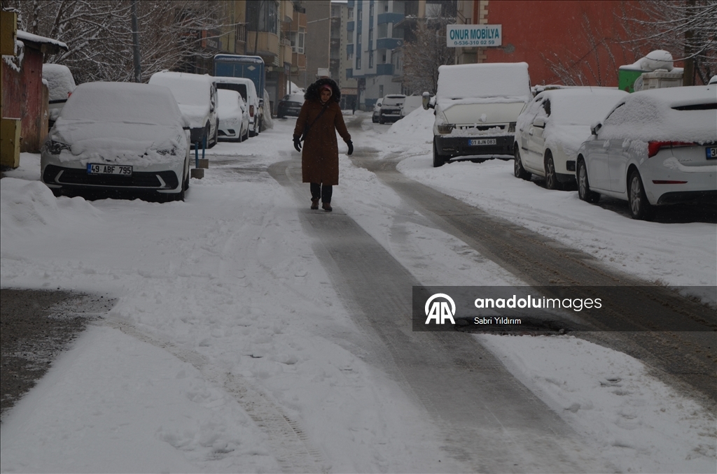 Muş'ta kar etkili oldu 