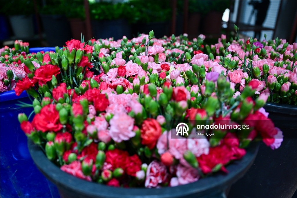 في فترة "عيد الحب".. قطاع الزهور التركي ينشد صادرات بـ10 ملايين دولار