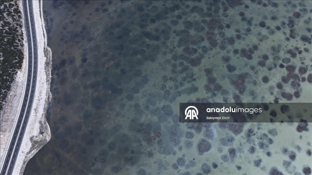 Yaz aylarında kuruyan Avlan Gölü, yağışların ardından yeniden su tuttu 5