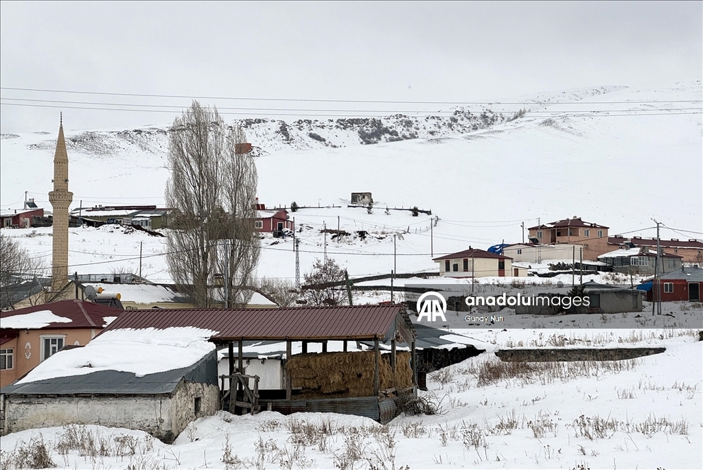 Ardahan'da kar yağışı 