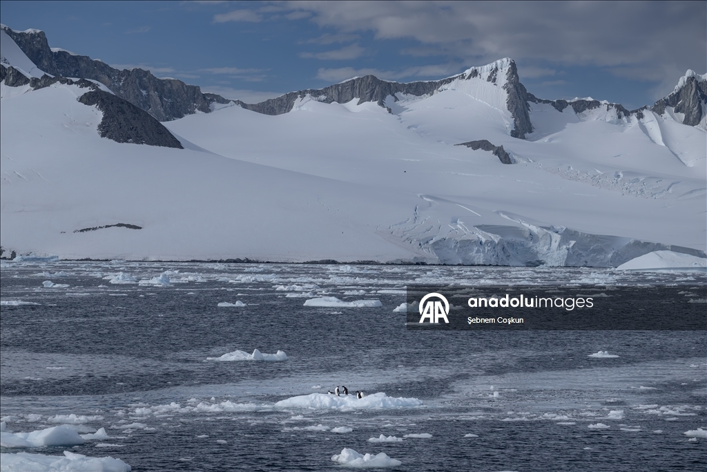 فريق الرحلة العلمية التركية العاشرة يصل القارة القطبية الجنوبية