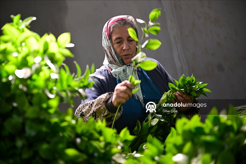 في فترة "عيد الحب".. قطاع الزهور التركي ينشد صادرات بـ10 ملايين دولار
