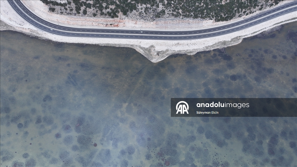 Yaz aylarında kuruyan Avlan Gölü, yağışların ardından yeniden su tuttu 6