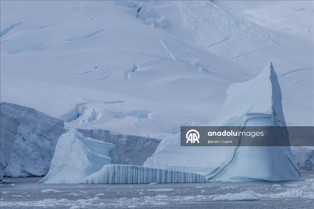 فريق الرحلة العلمية التركية العاشرة يصل القارة القطبية الجنوبية