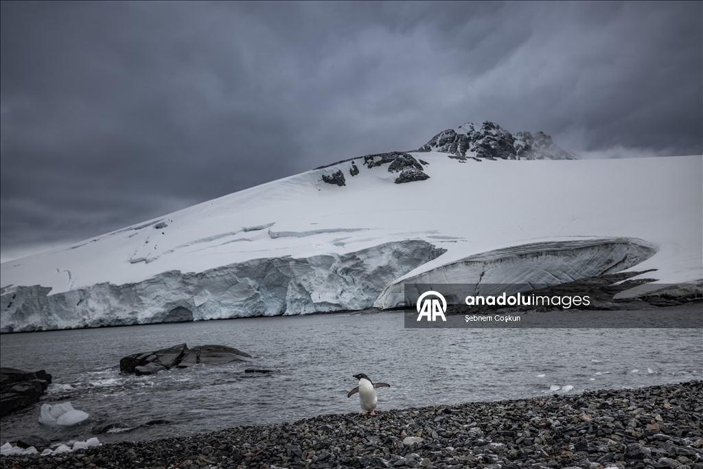 فريق الرحلة العلمية التركية العاشرة يصل القارة القطبية الجنوبية