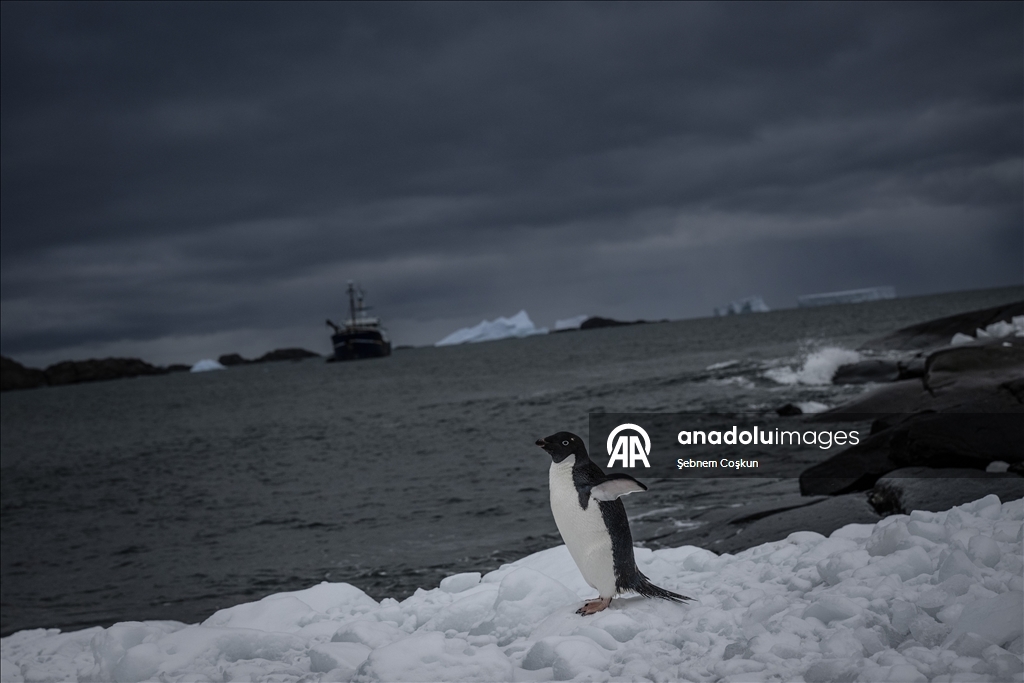 فريق الرحلة العلمية التركية العاشرة يصل القارة القطبية الجنوبية