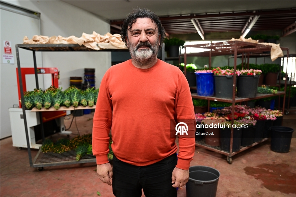 في فترة "عيد الحب".. قطاع الزهور التركي ينشد صادرات بـ10 ملايين دولار
