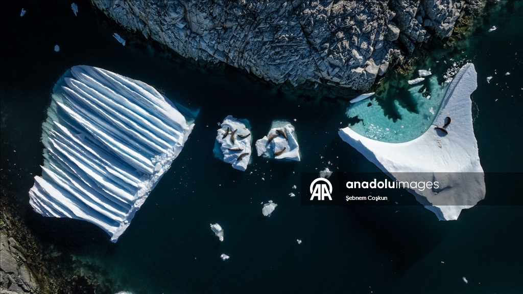 فريق الرحلة العلمية التركية العاشرة يصل القارة القطبية الجنوبية