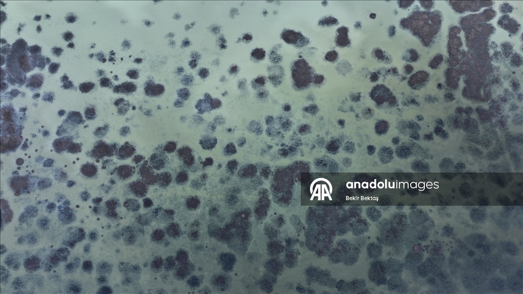 Yaz aylarında kuruyan Avlan Gölü, yağışların ardından yeniden su tuttu 19