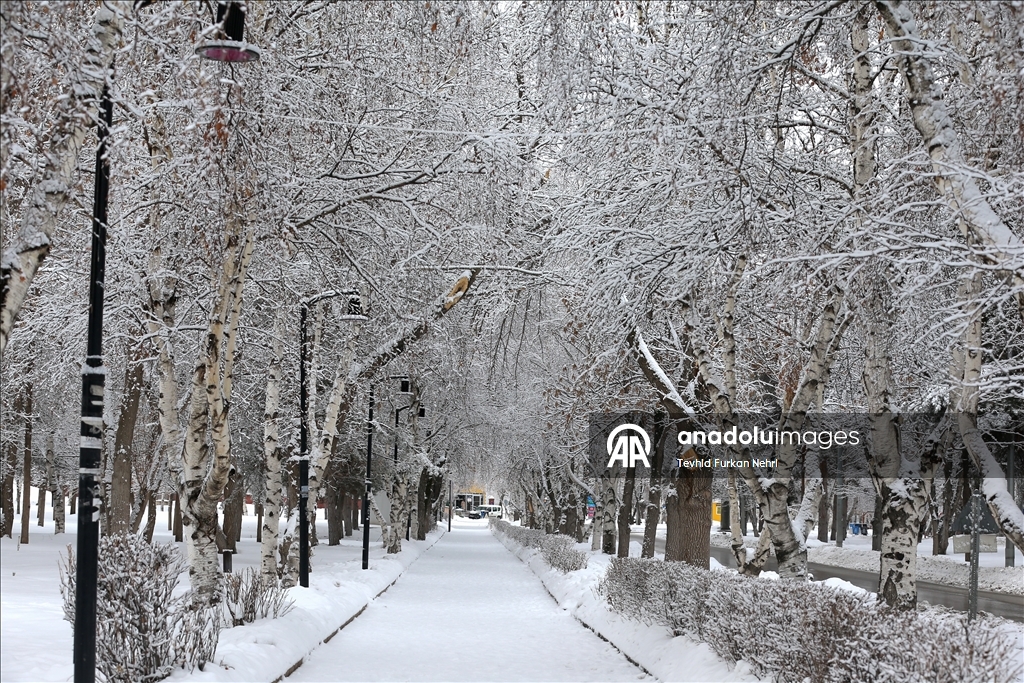 Erzurum'da kar yağışı etkili oldu