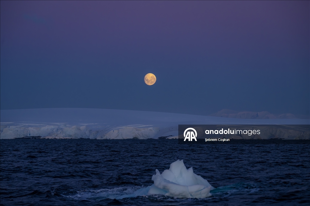 فريق الرحلة العلمية التركية العاشرة يصل القارة القطبية الجنوبية