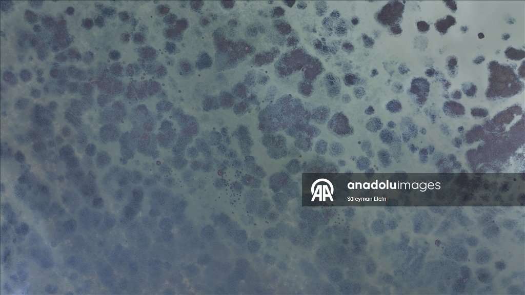 Yaz aylarında kuruyan Avlan Gölü, yağışların ardından yeniden su tuttu 11