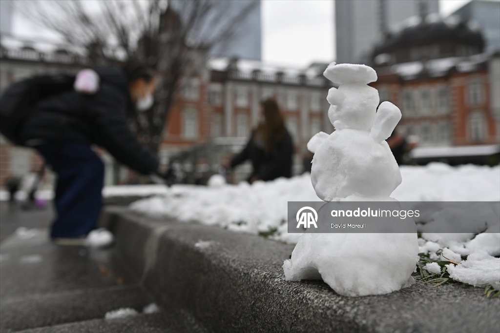 Japonya’nın başkenti Tokyo’da yılın ilk karı yağdı