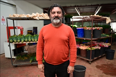 في فترة "عيد الحب".. قطاع الزهور التركي ينشد صادرات بـ10 ملايين دولار