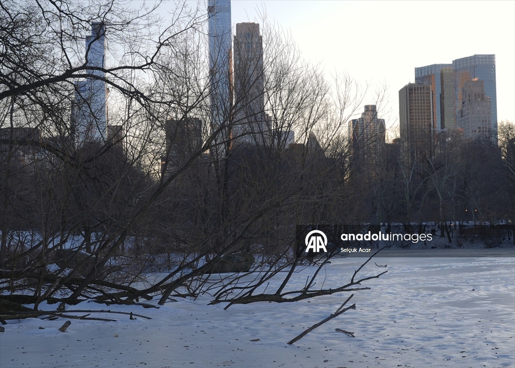 New York’ta dondurucu soğuklara rağmen günlük yaşam devam etti