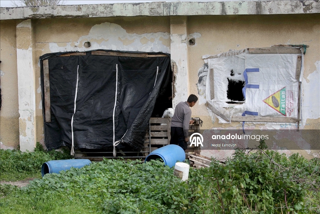 İsrail ordusu, Arrabe’nin doğusunda Filistinli çobanları tahliyeye zorladı