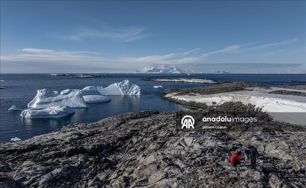 Турецкие ученые прибыли в Антарктиду в 10 раз