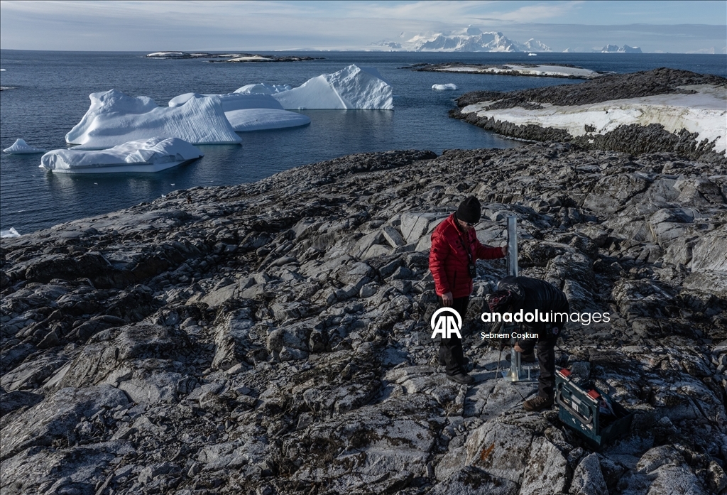 Турецкие ученые прибыли в Антарктиду в 10 раз