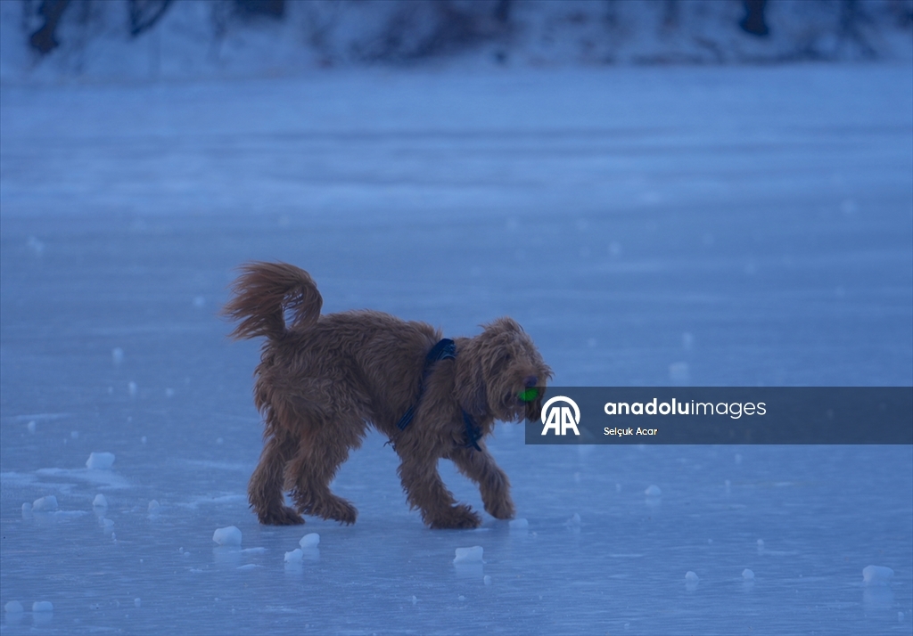 New York’ta dondurucu soğuklara rağmen günlük yaşam devam etti