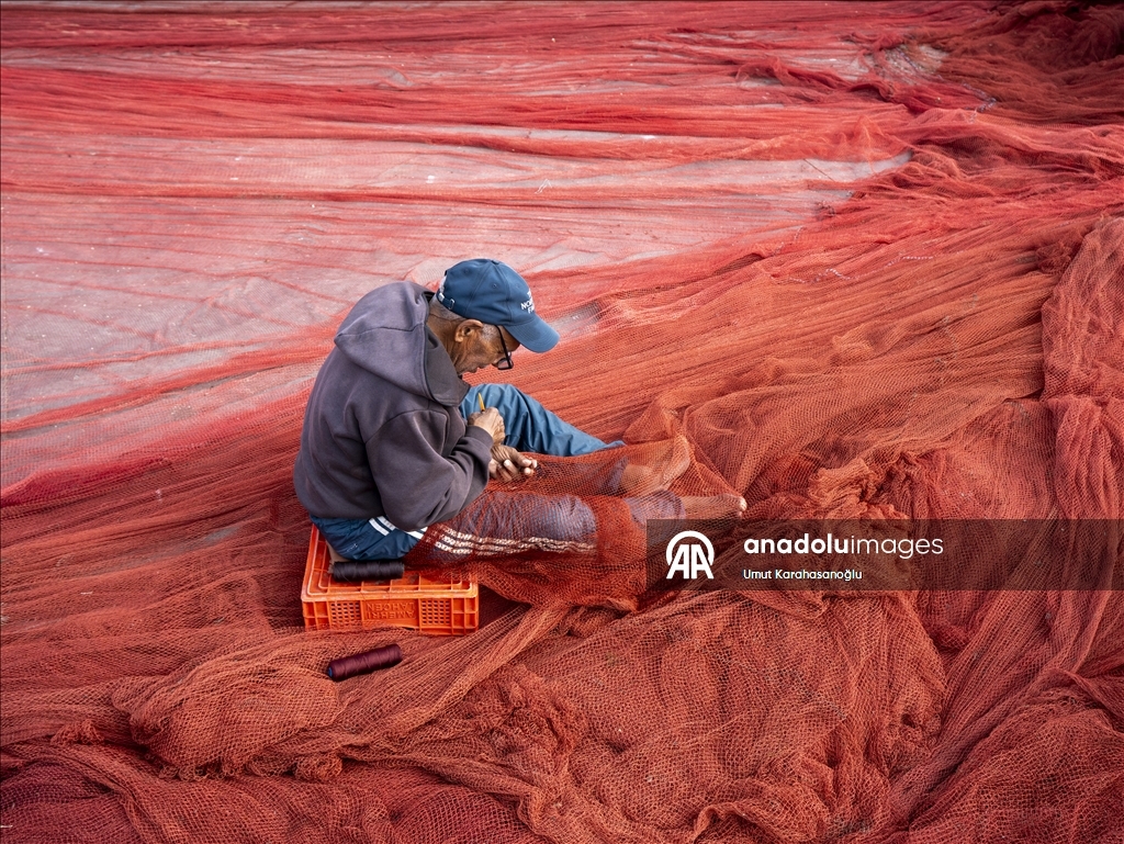 Fishermen continue their daily work at the port in the city of Essaouira, Morocco.