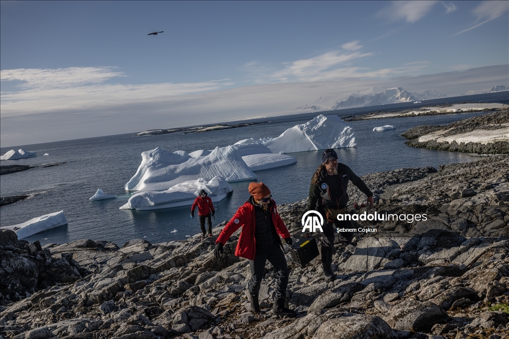 Турецкие ученые прибыли в Антарктиду в 10 раз