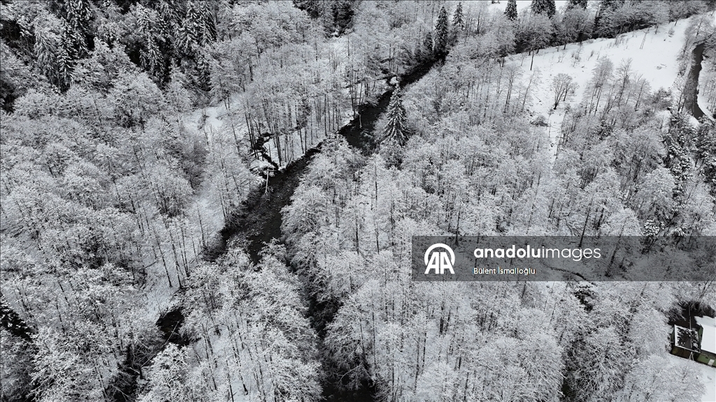 Zil Kale ve Ayder Yaylası beyaz örtüyle kaplandı