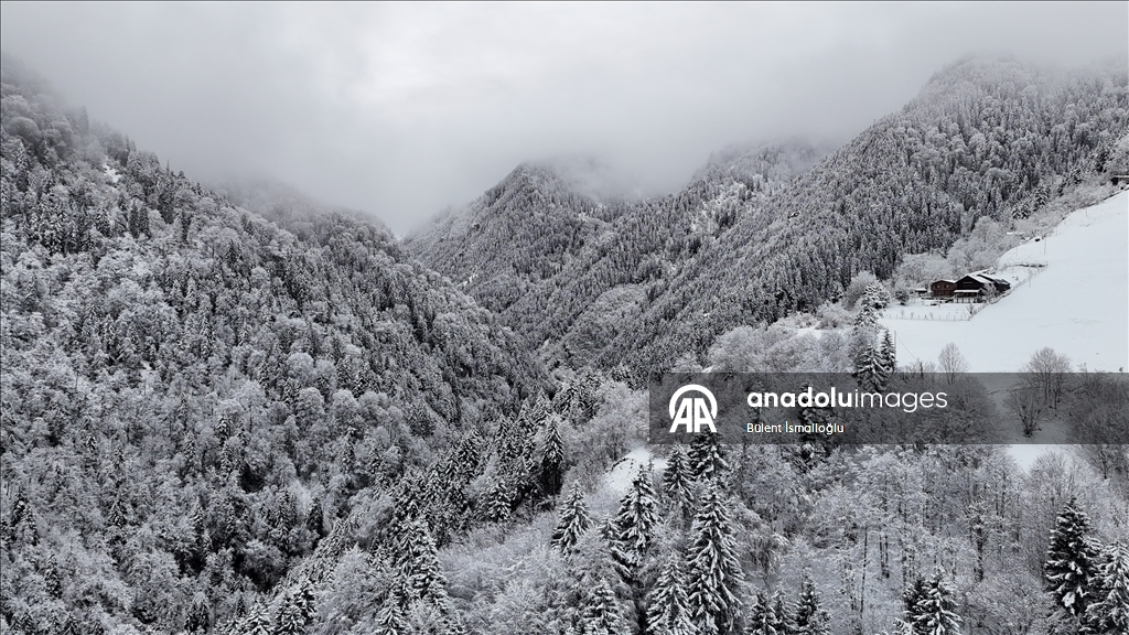 Zil Kale ve Ayder Yaylası beyaz örtüyle kaplandı