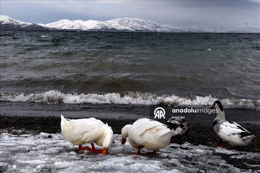 Çevresi karla kaplı Hazar Gölü ziyaretçilerini ağırlıyor