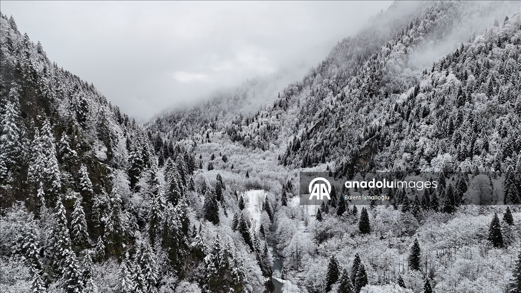 Zil Kale ve Ayder Yaylası beyaz örtüyle kaplandı