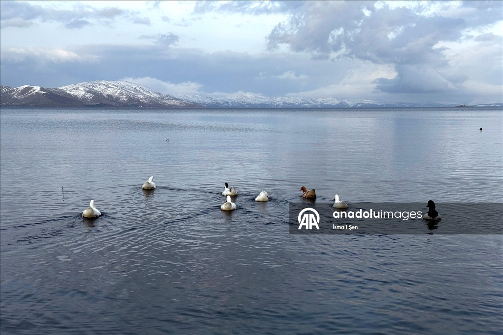 Çevresi karla kaplı Hazar Gölü ziyaretçilerini ağırlıyor